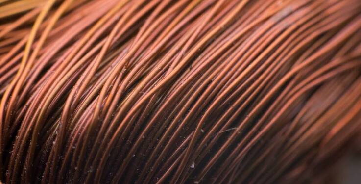 Wpływ diety na wewnętrzną strukturę i budowę włosa