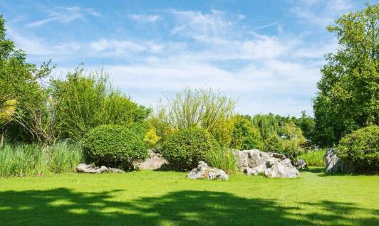 Wpływ trawnika rolowanego na środowisko naturalne