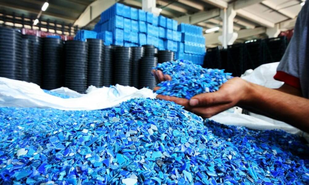 Zrównoważony rozwój dzięki skupowi odpadów drzewnych