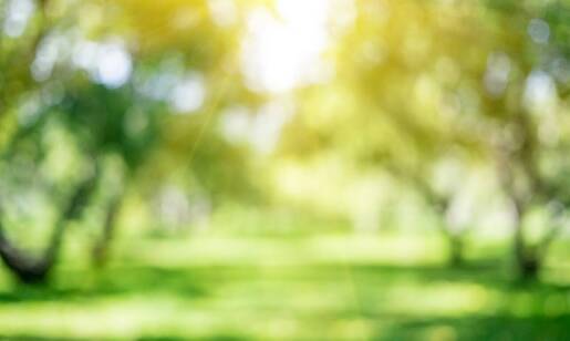 Ścieżka zdrowia – jak wspiera rehabilitację pacjentów