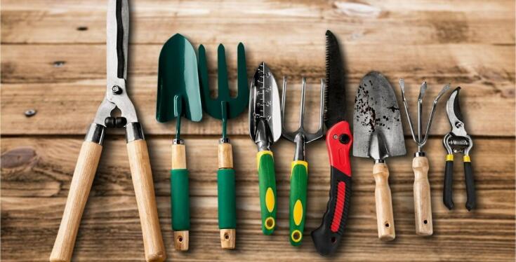 Jakie nasiona warzyw wybrać na wiosnę?