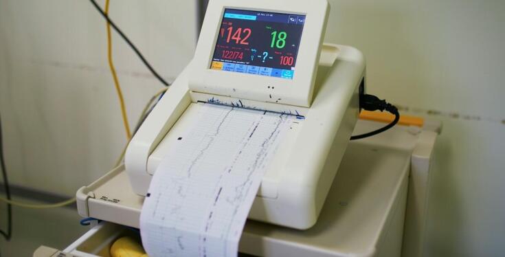 Zastosowanie EKG i UKG w monitorowaniu zdrowia serca podczas leczenia weterynaryjnego