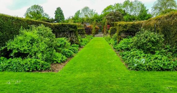 Co oferuje profesjonalna pielęgnacja zieleni miejskiej?