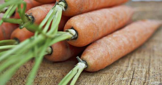 Jak świeżość warzyw obranych wpływa na smak potraw?