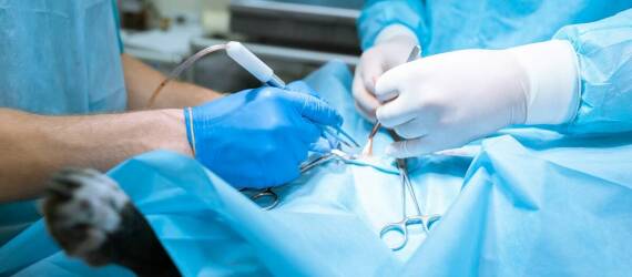 Rekonstrukcja MPFL u sportowców – wyzwania i rozwiązania w ortopedii