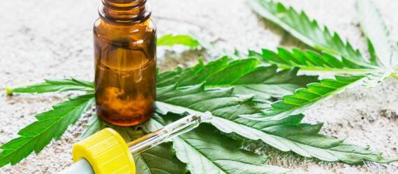 Zastosowanie olejku konopnego 30 w redukcji stanów zapalnych