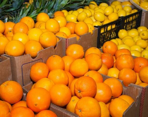 Rola skrzynek drewnianych na owoce w optymalizacji procesów logistycznych