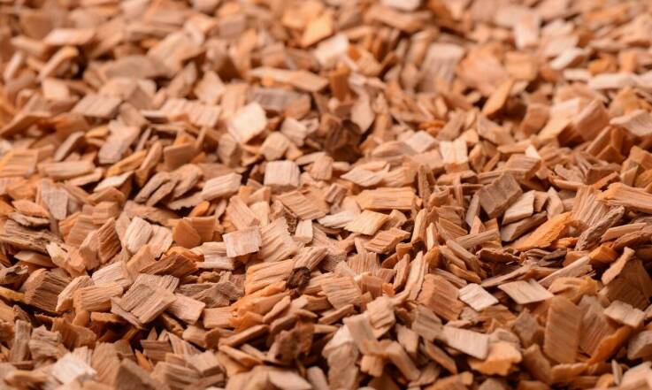 Jak różne rodzaje drewna wpływają na smak wędzonych ryb?