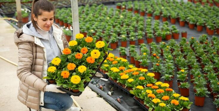 Hurtownia kwiatów małopolska: kluczowy partner dla kwiaciarni