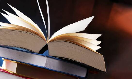 Jakie wartości promują książki Pawła Lisickiego?