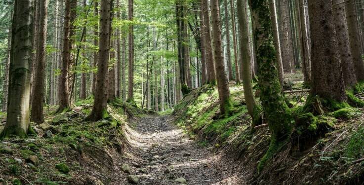 Jakie są najlepsze destynacje trekkingowe dla początkujących w Polsce?