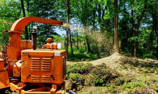 Nowoczesne techniki frezowania pnia w kontekście ochrony środowiska