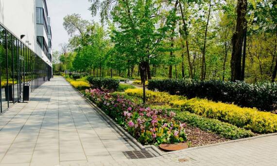 Jak zaprojektować funkcjonalne ogrody w Bolesławcu z uwzględnieniem lokalnego klimatu?