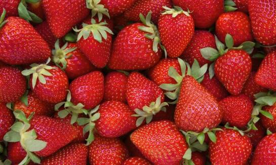 Dlaczego elastyczność dostaw jest kluczowa dla hurtu truskawek?