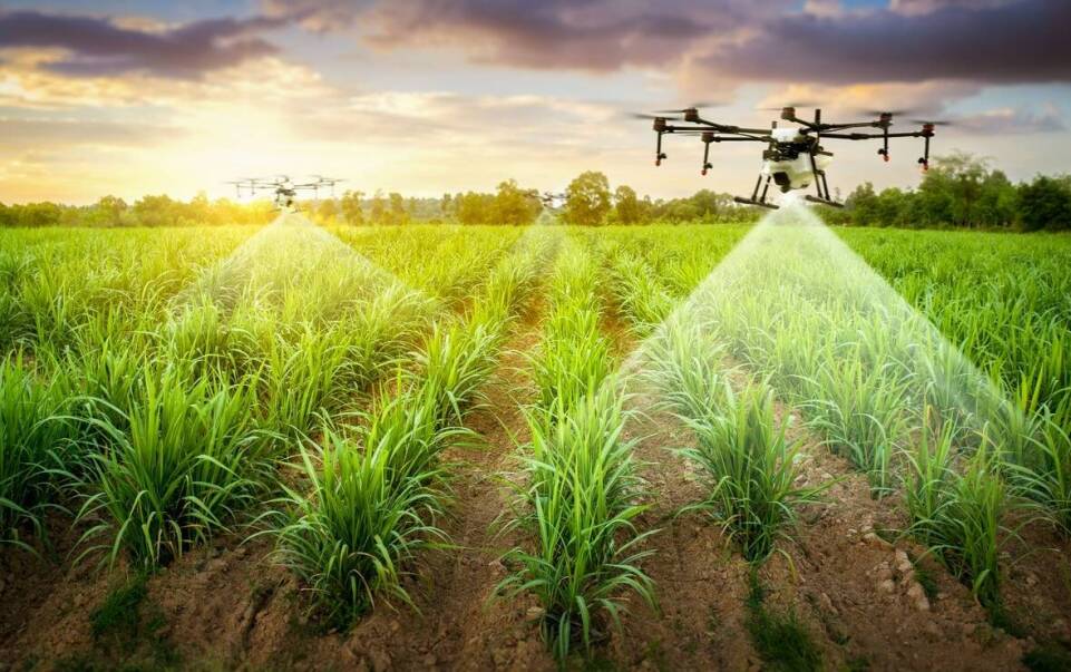 Monitorowanie plonów dzięki nowoczesnym systemom nawigacyjnym