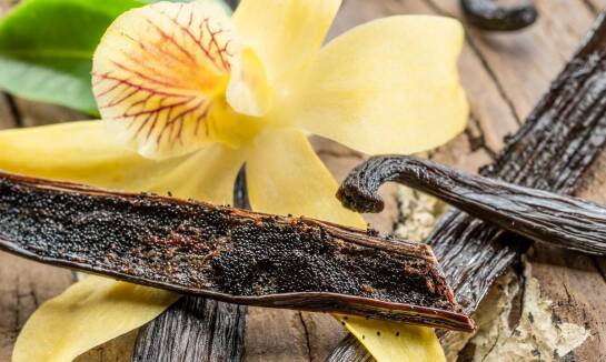 Znaczenie molekuł w tworzeniu trwałych i wyrazistych zapachów