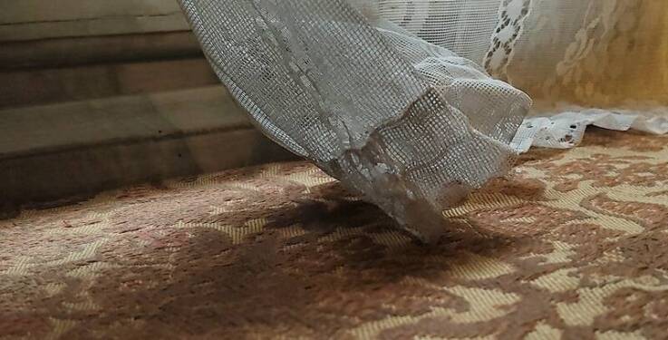 Zalety moskitier w ochronie przed owadami i alergenami