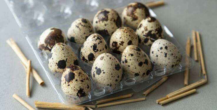 Jak jaja przepiórcze wspomagają zdrowie układu nerwowego?