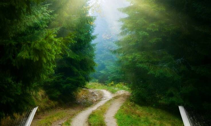 Przewodnik po najlepszych książkach przygodowych dla dzieci z wartościami chrześcijańskimi