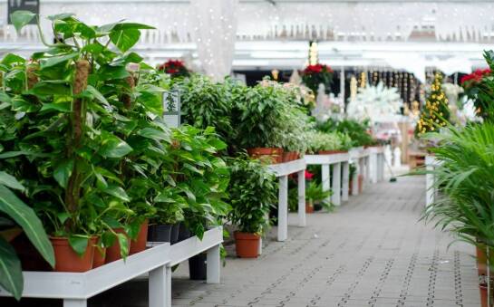 Ekologiczne środki ochrony roślin dla użytkowników namiotów uprawowych