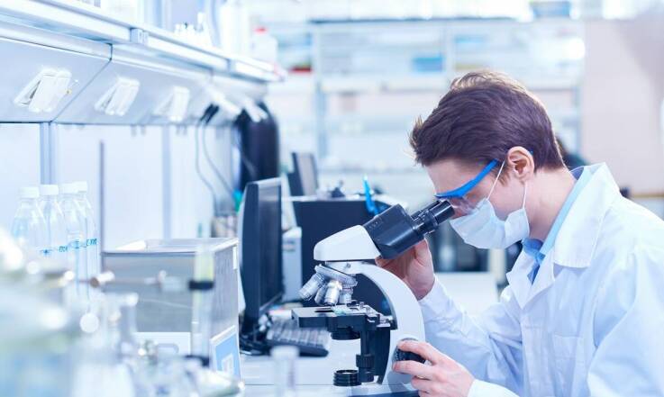 Znaczenie badań trzustki w diagnostyce zdrowia