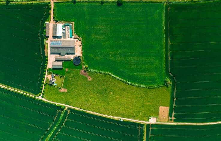 Ile wynosi wsparcie dla młodego rolnika w 2025?