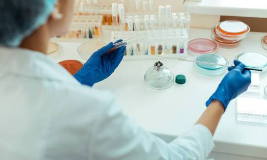 Bezpieczeństwo stosowania Candida s boulardii – co warto wiedzieć?