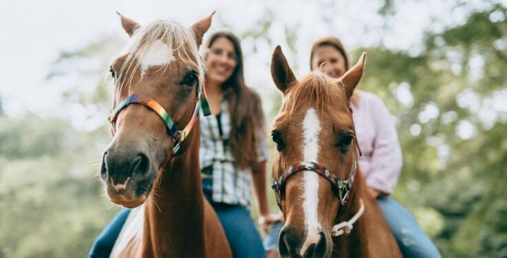 Wakacje jeździeckie dla początkujących – co warto wiedzieć?
