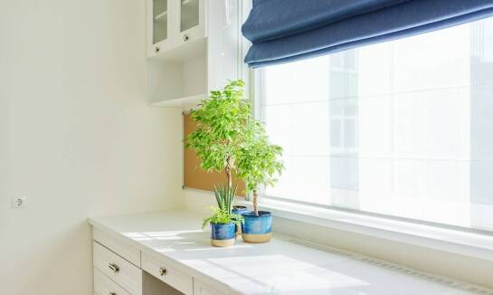 Jak kwiaty wpływają na atmosferę w domu i biurze?