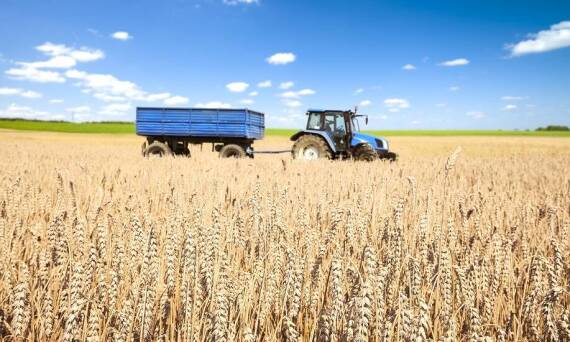 Dlaczego warto ubezpieczyć uprawy rolne?