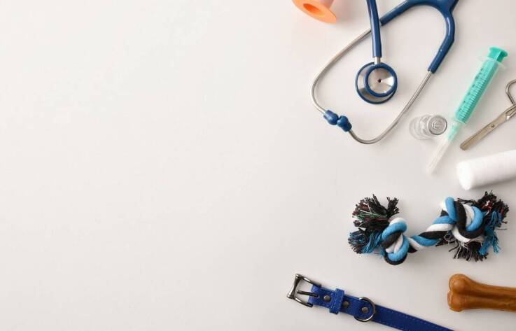 Ile jest ważny paszport dla psa