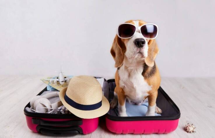 Jak bezpiecznie spędzać wakacje