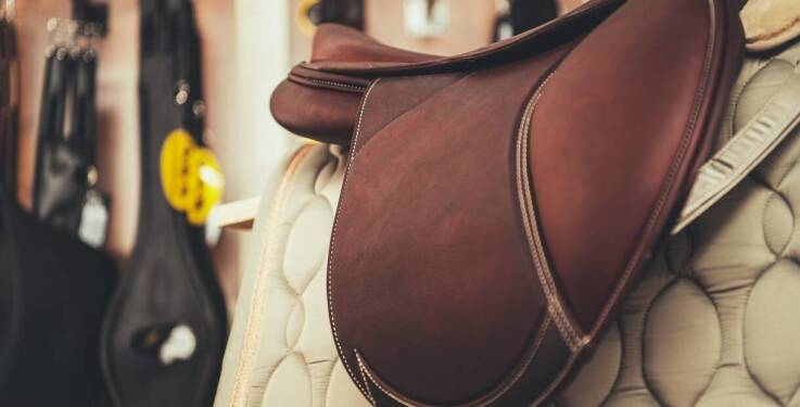 Obozy jeździeckie w malowniczym otoczeniu przyrody – wyjątkowe doświadczenie dla każdego miłośnika koni