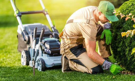 Jak specjaliści identyfikują problemy i choroby trawników?