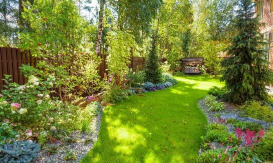 Jak wybrać najlepszy rodzaj trawy do trawnika z rolki?