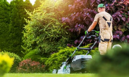 Praktyczne aspekty ustalania normy wysiewu trawy dla profesjonalistów