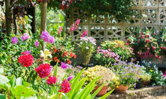 Praktyczne porady dotyczące wyboru zestawów ogrodowych
