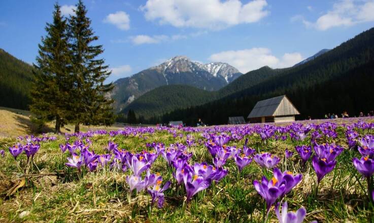 Porady dotyczące wyboru odpowiedniego apartamentu w Kościelisku na wakacje