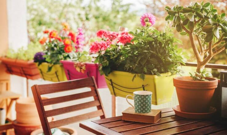 Rola ogródków przy mieszkaniach w zapewnieniu wysokiej jakości życia