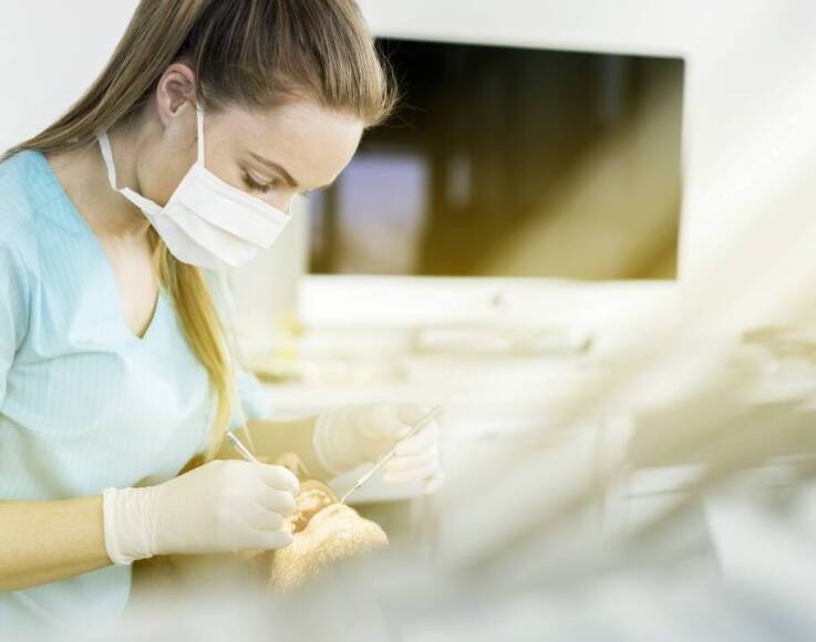 Implanty stomatologiczne – krok po kroku przez proces leczenia