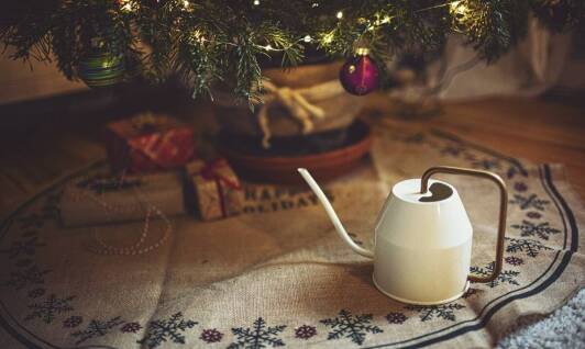 Jakie akcesoria ogrodnicze są niezastąpione podczas zimowej pielęgnacji roślin?