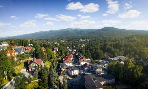 Jakie trendy rynkowe obserwują rzeczoznawcy majątkowi w Jeleniej Górze?