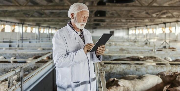 Wpływ dokładnej diagnozy na efektywność leczenia bydła