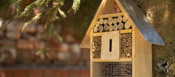 Jakie są najskuteczniejsze typy pułapek do chwytania zwierząt?