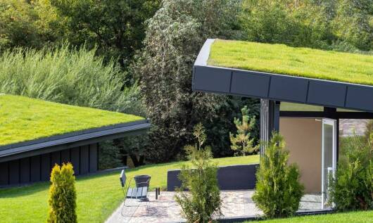 Ocena wydajności systemów hydroizolacyjnych na dachach zielonych