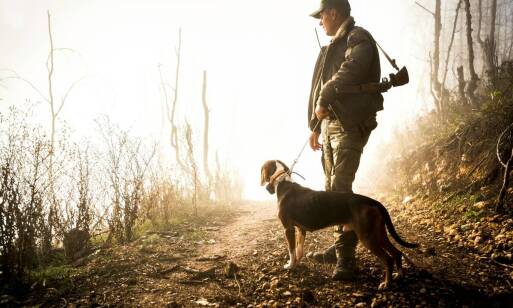 Jakie znaczenie ma indywidualny spacer dla psa w hotelu dla agresywnych psów?