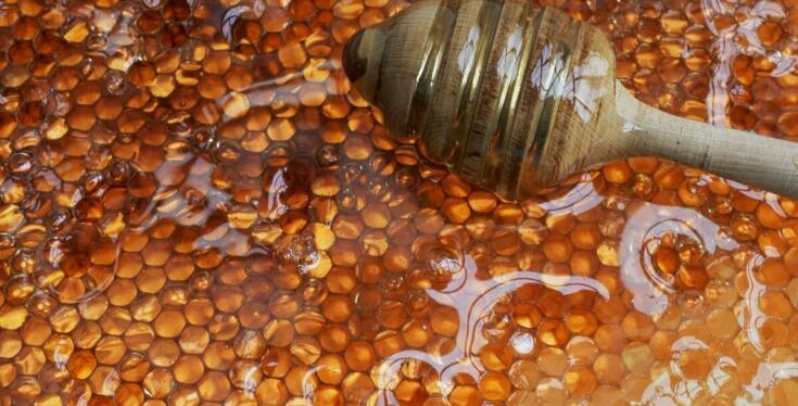 Mleczko pszczele w miodzie – idealne dla osób dbających o zdrowie