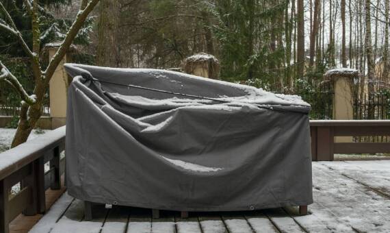 Jakie są najczęstsze wyzwania przy wyborze poideł mrozoodpornych?