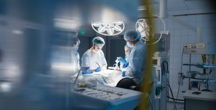 Chirurgia weterynaryjna: jak minimalizujemy ryzyko powikłań pooperacyjnych?