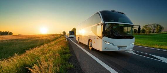 Jak nasze przewozy do Belgii wyróżniają się na tle konkurencji?